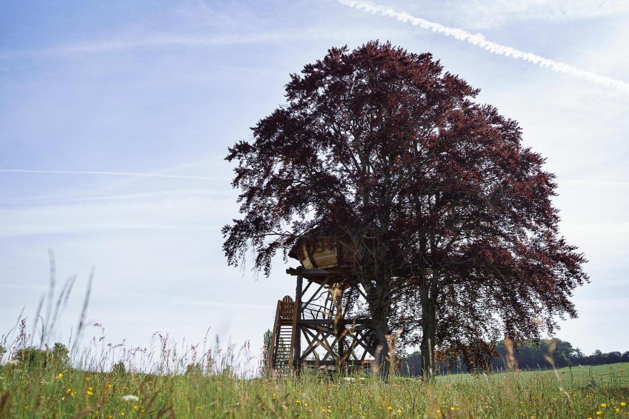 Cabane Perchee Dans Les Arbres Saint-Hilaire-en-Morvan Exterior foto