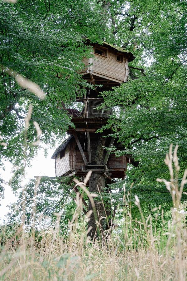 Cabane Perchee Dans Les Arbres Saint-Hilaire-en-Morvan Exterior foto