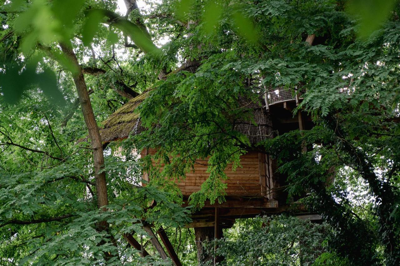 Cabane Perchee Dans Les Arbres Saint-Hilaire-en-Morvan Exterior foto